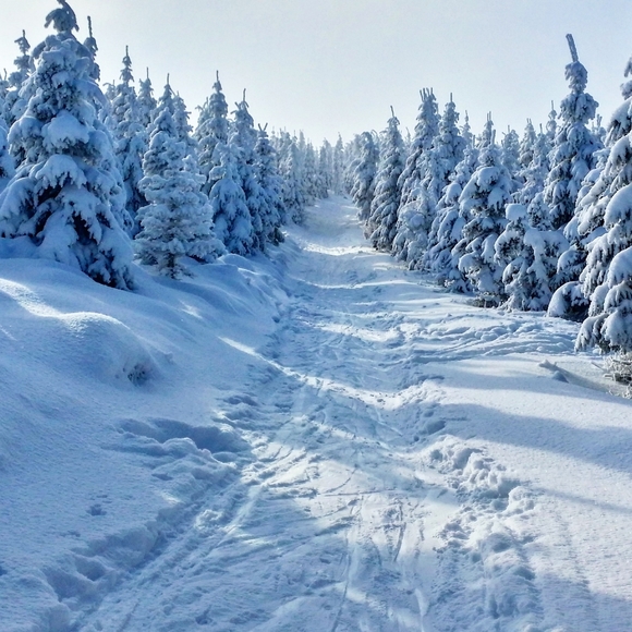 ❄️WINTER WHISPERS FOLLOW GAME❄️ - Picture 2 of 5